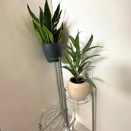 Spacious 3Bdr App In Center 